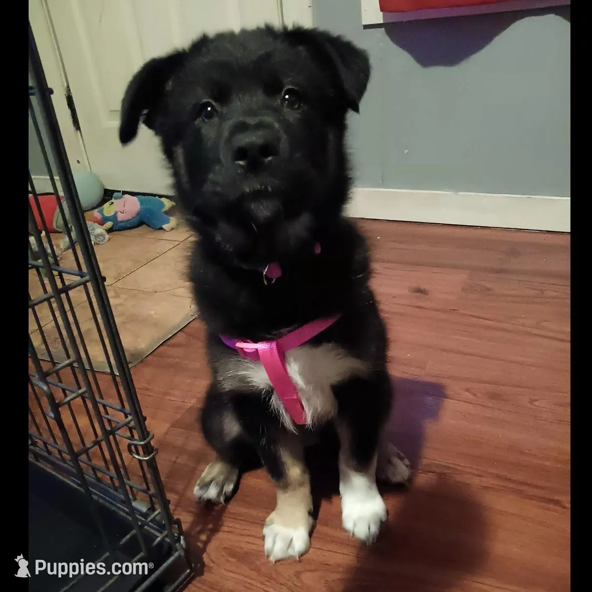 processed/c8adb439-b581-47f0-abdb-2fa0c30115e9/listing/7c87fabb-7006-4cf0-8d44-58026db06d0c/80f219df-757d-4e3d-9486-11d595d55354