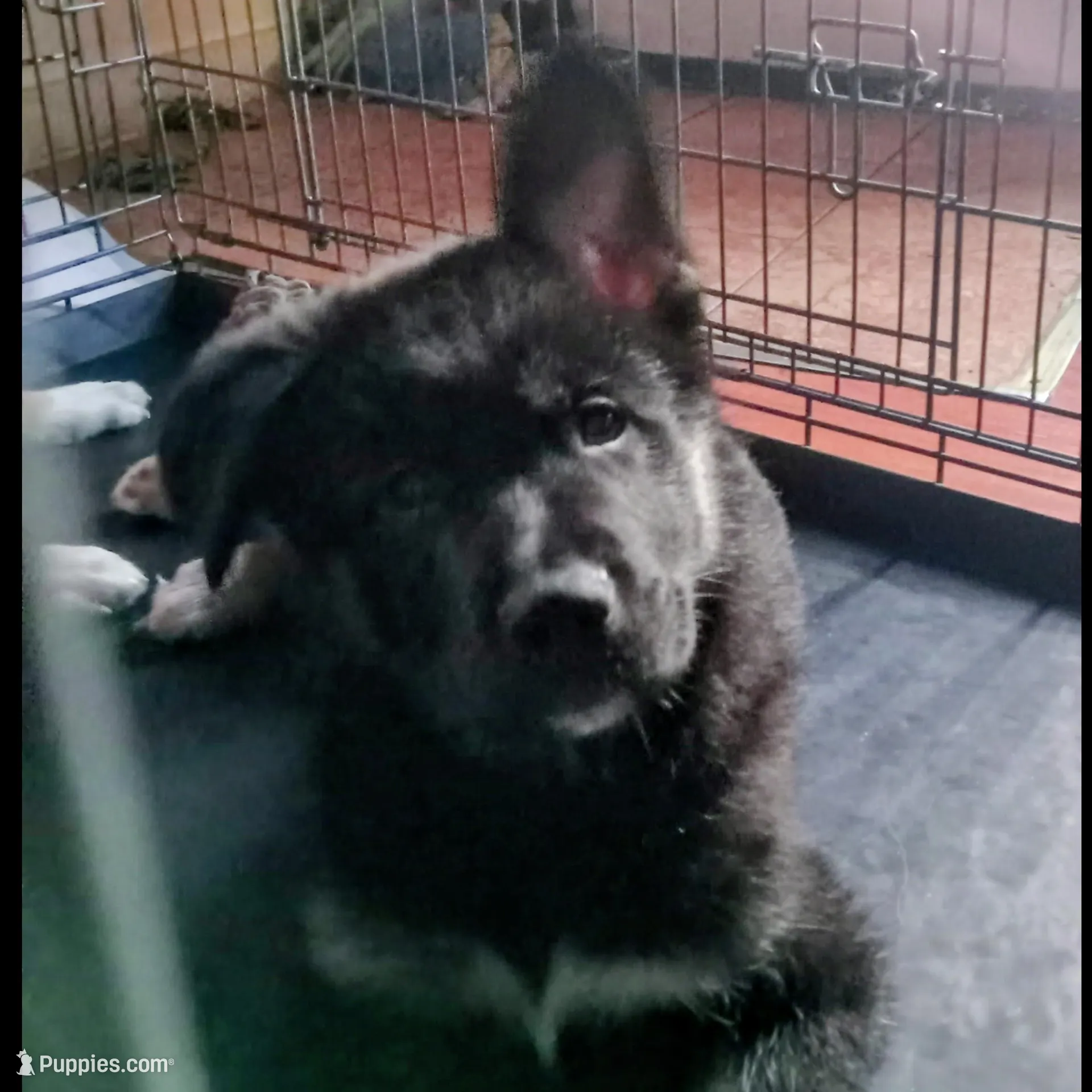 processed/c8adb439-b581-47f0-abdb-2fa0c30115e9/listing/7c87fabb-7006-4cf0-8d44-58026db06d0c/f2d720b4-5077-4bb2-b23f-4c82f00c82bf