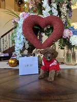 processed/c8b21b87-92bb-4715-9bd0-cf4dcd659d90/listing/68b3bf65-0ed3-487b-8223-540063787906/3d1b759a-e6dc-43dc-beb0-b1816cfb0695