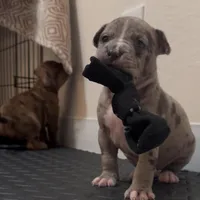 processed/c8c14df2-7c84-49db-bd5f-b410cfaf0b03/facility/9a199c87-f452-40fd-abe9-90eb907a4342