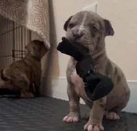 processed/c8c14df2-7c84-49db-bd5f-b410cfaf0b03/facility/9a199c87-f452-40fd-abe9-90eb907a4342