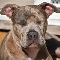 processed/c8c14df2-7c84-49db-bd5f-b410cfaf0b03/facility/a3927a04-3607-4bdd-ae3d-54c9dd4073b8