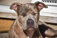 processed/c8c14df2-7c84-49db-bd5f-b410cfaf0b03/facility/a3927a04-3607-4bdd-ae3d-54c9dd4073b8