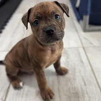 processed/c8c14df2-7c84-49db-bd5f-b410cfaf0b03/facility/d2702afc-c48c-4598-9bbc-4146c4804b0c