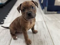 processed/c8c14df2-7c84-49db-bd5f-b410cfaf0b03/facility/d2702afc-c48c-4598-9bbc-4146c4804b0c