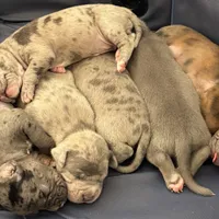 processed/c8c14df2-7c84-49db-bd5f-b410cfaf0b03/facility/df4c4fae-cf34-4e97-a617-69a4aab37812