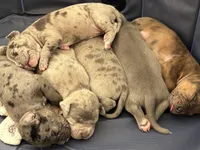 processed/c8c14df2-7c84-49db-bd5f-b410cfaf0b03/facility/df4c4fae-cf34-4e97-a617-69a4aab37812