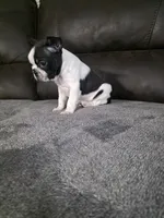 processed/c8c3264b-ebff-4909-b8b8-d983ddcdc2ec/listing/354ed25d-d5d9-4197-97ff-32f3b0513c68/0ecca338-f02f-4571-a23d-6392c1a433df