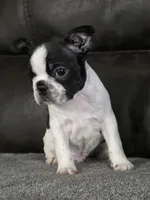 processed/c8c3264b-ebff-4909-b8b8-d983ddcdc2ec/listing/354ed25d-d5d9-4197-97ff-32f3b0513c68/19d2c97c-d4fc-4f75-af1a-c4fe9490fba2