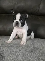 processed/c8c3264b-ebff-4909-b8b8-d983ddcdc2ec/listing/354ed25d-d5d9-4197-97ff-32f3b0513c68/3d8c34b4-7ddf-47f8-866d-95a47fcac9c2