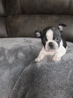 processed/c8c3264b-ebff-4909-b8b8-d983ddcdc2ec/listing/354ed25d-d5d9-4197-97ff-32f3b0513c68/5a6fb55d-b1a8-4aed-966c-6af994a788ff