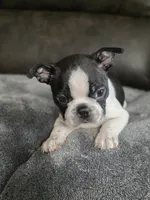 processed/c8c3264b-ebff-4909-b8b8-d983ddcdc2ec/listing/354ed25d-d5d9-4197-97ff-32f3b0513c68/61e54565-22b3-4624-887d-1d3dd98eac86