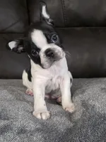 processed/c8c3264b-ebff-4909-b8b8-d983ddcdc2ec/listing/354ed25d-d5d9-4197-97ff-32f3b0513c68/a50f4e2e-1e27-404c-a688-f28900f08dbf