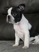 processed/c8c3264b-ebff-4909-b8b8-d983ddcdc2ec/listing/354ed25d-d5d9-4197-97ff-32f3b0513c68/a5fd54ca-a09e-4eab-a42a-296b8d7909be