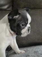 processed/c8c3264b-ebff-4909-b8b8-d983ddcdc2ec/listing/354ed25d-d5d9-4197-97ff-32f3b0513c68/af288a52-5cfa-422c-b003-191dbd374eb2