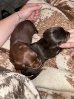 processed/c8c8fd07-aea3-46fc-b8a8-08c421a1afec/facility/73a6be08-30d6-4d4e-9e13-511c7c587c35