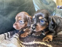 processed/c8c8fd07-aea3-46fc-b8a8-08c421a1afec/facility/8aba59b6-f6ad-4591-be85-0b020c556528