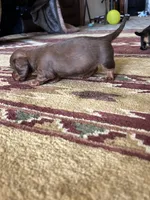 processed/c8c8fd07-aea3-46fc-b8a8-08c421a1afec/facility/a83f4320-c835-4b1b-8b4b-2638edf76931