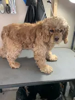 processed/c8cf26f4-1b6d-4f99-b0ef-33190425b28a/listing/83f5c60d-2267-4788-8c35-48eb7c5744c4/6518e525-71d9-4503-bac0-b0c158071cd7