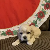 processed/c8cf26f4-1b6d-4f99-b0ef-33190425b28a/listing/83f5c60d-2267-4788-8c35-48eb7c5744c4/c671ce51-bcb2-4a61-a13a-1fbfd39dabd7