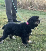 processed/c8cf26f4-1b6d-4f99-b0ef-33190425b28a/listing/83f5c60d-2267-4788-8c35-48eb7c5744c4/ca6619c6-41e5-4ef8-8a2b-71b3dc86c1a3