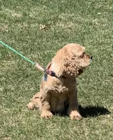 processed/c8cf26f4-1b6d-4f99-b0ef-33190425b28a/listing/d8e68345-10fd-49d0-82b7-c09c53e259e3/047172aa-c9ec-41ab-be85-7fee970b9ab0