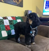 processed/c8cf26f4-1b6d-4f99-b0ef-33190425b28a/listing/d8e68345-10fd-49d0-82b7-c09c53e259e3/3040862f-57a9-4f23-b72c-447cd9bdd0b4