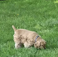 processed/c8cf26f4-1b6d-4f99-b0ef-33190425b28a/listing/da288201-3ff3-48af-b13a-fd7d15ede671/7f9b8b7c-835b-4ad3-bc58-03ce09fc7854