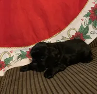 processed/c8cf26f4-1b6d-4f99-b0ef-33190425b28a/listing/da288201-3ff3-48af-b13a-fd7d15ede671/aed15c6b-f9ad-4346-bf52-60a728afb511