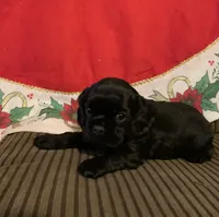 processed/c8cf26f4-1b6d-4f99-b0ef-33190425b28a/listing/da288201-3ff3-48af-b13a-fd7d15ede671/cd5b0fa0-47d3-4cdb-acc8-ece8e406bbc3