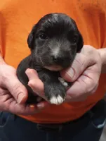 processed/c8ddfd5e-d75f-4c7e-97de-9822acad250c/listing/52250d07-e96a-4a27-bd3f-36004156136e/db7cfd50-e08d-4222-9f6b-0a1e1ef5380b