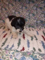 processed/c8ddfd5e-d75f-4c7e-97de-9822acad250c/listing/f873732e-5911-4c60-b094-7f8233ce4203/835bc311-ce88-411c-b6f5-c5685766d362