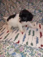 processed/c8ddfd5e-d75f-4c7e-97de-9822acad250c/listing/f873732e-5911-4c60-b094-7f8233ce4203/974a6f92-2333-4b46-b65c-fcac229eb806