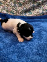 processed/c8ddfd5e-d75f-4c7e-97de-9822acad250c/listing/f873732e-5911-4c60-b094-7f8233ce4203/fae49f93-00af-4198-9e76-76a28bd3d98c