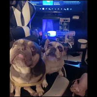 processed/c8e1c84b-6e26-479b-8ec8-dfa8c49c78e0/facility/013a541b-1806-4066-acfa-c04b95606751