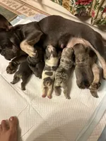 processed/c8e1c84b-6e26-479b-8ec8-dfa8c49c78e0/facility/56f05fc6-8433-479e-96ee-72a1ffcc383c