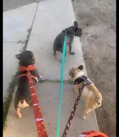 processed/c8e1c84b-6e26-479b-8ec8-dfa8c49c78e0/facility/6fa72d7b-2e38-4227-a945-5c3eafa60f77