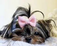 processed/c8e1c84b-6e26-479b-8ec8-dfa8c49c78e0/facility/7ee8c08e-f4dd-4dcc-8a8f-d71389fe8953