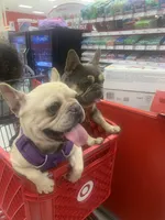 processed/c8e1c84b-6e26-479b-8ec8-dfa8c49c78e0/facility/8d135ac8-f715-4bfd-a7f1-680a1796bfb1