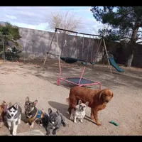 processed/c8e1c84b-6e26-479b-8ec8-dfa8c49c78e0/facility/d002acd0-013f-47b1-a1ae-3c581f0ab4f0