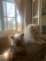 processed/c8e1c84b-6e26-479b-8ec8-dfa8c49c78e0/facility/e5a48d3b-e2b7-409c-8e2f-1f6e01fdf2f6