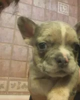 processed/c8e1c84b-6e26-479b-8ec8-dfa8c49c78e0/facility/f1318c42-7380-4da2-a1cd-e88fdd8ac1dc