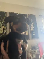 processed/c8e1c84b-6e26-479b-8ec8-dfa8c49c78e0/listing/907fbac7-6ca6-4c6d-94c8-bba340eaef53/392da0fa-87ea-48b8-9a7a-b1381eb1b073