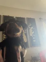 processed/c8e1c84b-6e26-479b-8ec8-dfa8c49c78e0/listing/907fbac7-6ca6-4c6d-94c8-bba340eaef53/9b7b626b-2233-4c8d-b1f9-ad391220392c