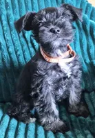 processed/c8ed8608-600e-4e76-88c4-0df21350348d/listing/0d33c1a3-b225-4a99-adf4-e0eed948b2dd/36a19ba4-c092-4cf6-988e-6e02fff2a15a