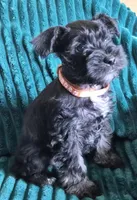 processed/c8ed8608-600e-4e76-88c4-0df21350348d/listing/0d33c1a3-b225-4a99-adf4-e0eed948b2dd/fa0e3df1-c189-4e6c-bcf9-1f4fa659485a