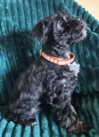 processed/c8ed8608-600e-4e76-88c4-0df21350348d/listing/0d33c1a3-b225-4a99-adf4-e0eed948b2dd/fbd98724-2f8b-4a05-9dc9-94e20226a844