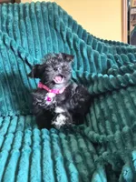 processed/c8ed8608-600e-4e76-88c4-0df21350348d/listing/17f0b532-f50d-4190-9489-eaac5fe8fe74/40fb3833-d4d1-47dc-a9f4-d66db258b229