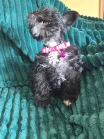 processed/c8ed8608-600e-4e76-88c4-0df21350348d/listing/17f0b532-f50d-4190-9489-eaac5fe8fe74/722db3b5-9c97-4f86-96b0-dddf2a24bc4d