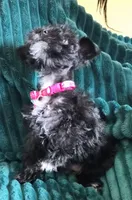 processed/c8ed8608-600e-4e76-88c4-0df21350348d/listing/17f0b532-f50d-4190-9489-eaac5fe8fe74/8c88cd1e-968a-4632-8209-c9b499673ae5